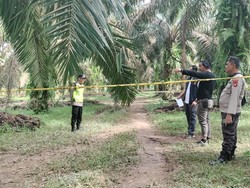 Pria di Muba Ditemukan Tewas Mengenaskan Saat Jaga Kebun Durian