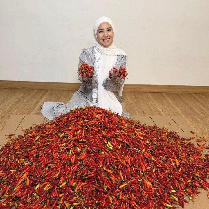 <p>Momen ini dibagikan langsung di akun Instagram <em>@tya_ariestya</em>. Melihat dari postingan yang diunggah, Tya tampak begitu bahagia karena bisa mendapatkan cabai segar yang dipanen langsung dari Aceh, Bunda. (Foto: Instagram @tya_ariestya)</p>