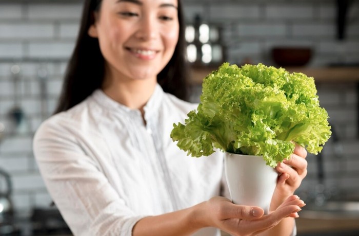 Selada bisa ditanam di dalam rumah, tahan suhu dingin, serta mudah dirawat. Selada bisa tumbuh dari biji sampai siap panen hanya dalam waktu 1 bulan./ Foto: Freepik.com