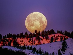 Fenomena Wolf Moon 3 Januari 2026: Jadwal, Dampak, Cara Lihat, dan Maknanya