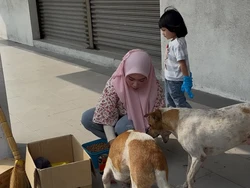Wanita Muslim Beri Makan Anjing Liar, Tak Gentar Walau Banyak Dihujat