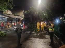 Polsek Palmerah Tangani Pohon Tumbang di KS Tubun Usai Terima Aduan Warga