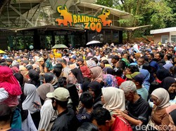 Hari Terakhir Gratis, Ribuan Warga Serbu Bandung Zoo
