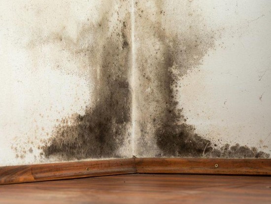 Solusi Rumah Anti Lembab yang Ringkas dan Praktis dengan Tixx Dehumidifier!