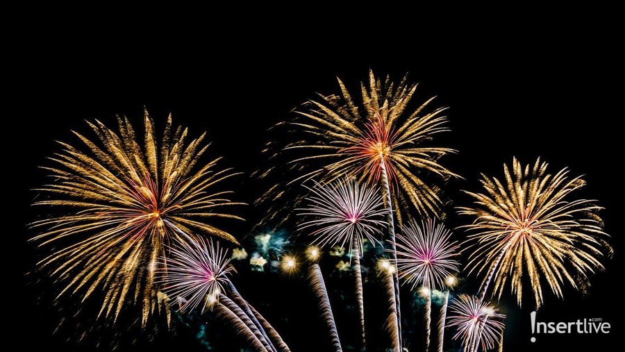 Beautiful colorful firework display at night for celebrate in anniversary