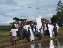 Ditawari Moratorium, Petani Jatiluwih Akhirnya Cabut Seng dan Plastik