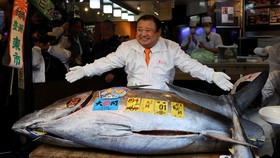 FOTO: Ikan Tuna Ini Dijual Rp55 M di Jepang