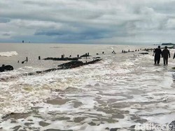 Lara di Pesisir Cibuaya Karawang, Ketika Ombak Merebut Jalan Warga