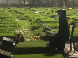 7 Momen Karina Ranau Lepas Rindu di Makam Epy Kusnandar, Menangis di Bawah Hujan