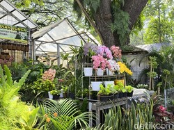 Semerbak Bunga dan Warisan Hijau di Tengah Kota Bandung