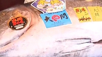 Tuna Sirip Biru Rp54 Miliar Laku Dibeli Restoran Sushi di Jepang