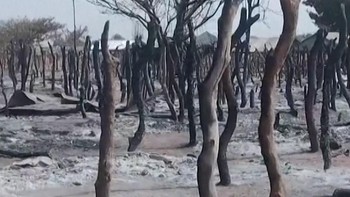 Kelompok Bersenjata Serang Pasar di Nigeria, 30 Orang Tewas