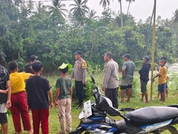Bocah 13 Tahun di Konawe Selatan Hilang Diterkam Buaya Saat Mencuci di Sungai