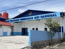 Heboh Ternak Babi di Sragen Diminta Tutup Usai Berdiri SPPG di Sebelahnya