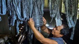Pekerja menjemur kulit ular sebelum dibuat menjadi tas di Cisoka, Kabupaten Tangerang, Banten, Selasa (6/1/2026). Pemerintah resmi menanggung Pajak Penghasilan (PPh) Pasal 21 periode 2026 untuk pekerja di lima sektor usaha padat karya yaitu industri