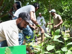 Video: Di Desa Ini Pohon Dianggap Sebagai Anggota Keluarga