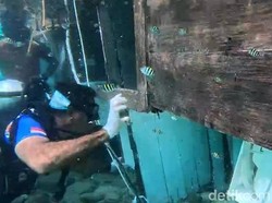 Penampakan Bangkai Kapal Pelatih Valencia Terdampar di Labuan Bajo