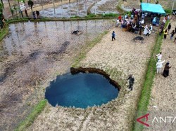 Penampakan Sinkhole di Sawah, Tanahnya Masih Terus Bergerak