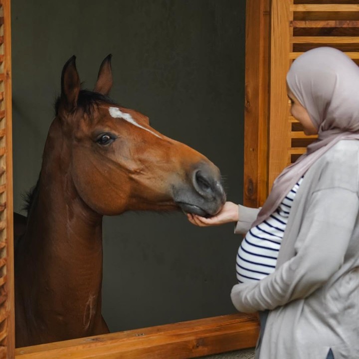<p>Melalui unggahan di Instagram, Zaskia membagikan momen saat bersama kuda kesayangannya yang ditempatkan di kandang. Kuda yang ia adopsi beberapa tahun lalu ini diberi nama Cresscent. <em>"Meong jumbo. Love you cresscent. MasyaaAllah Tabarakallah</em>," tulisnya di postingan. (Foto: Instagram @zaskiasungkar15)</p>