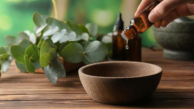 Kayu putih memang berkhasiat untuk meredakan keluhan kembung dan flu. Namun, mencampurnya dengan air untuk diminum dapat membahayakan tubuh.