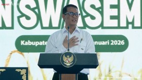 Amran Ungkap Alasan Kuota Impor Daging Sapi Swasta Tinggal 30 Ribu Ton