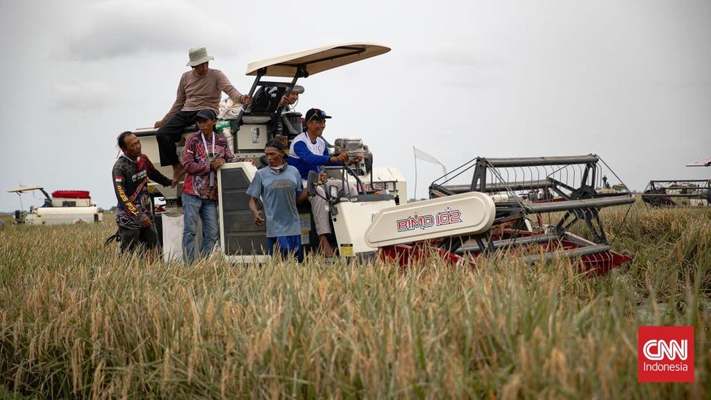 Mampukah RI Pertahankan Swasembada Beras Seperti Mimpi Prabowo?