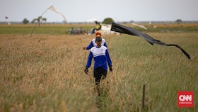 Airlangga soal Lahan Food Estate: Papua Lebih Baik dari Australia