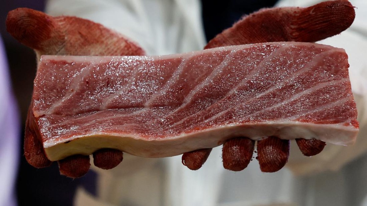 10 Ikan Dengan Kandungan Merkuri Tinggi, Wajib Cek Sebelum Beli
