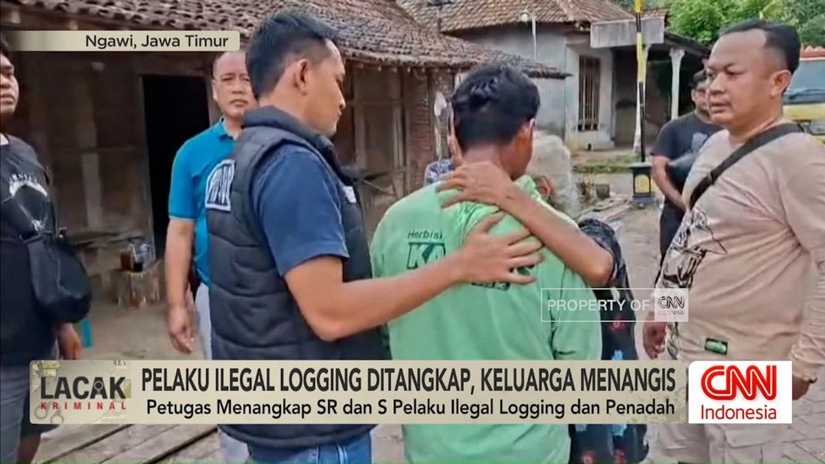 VIDEO: Pelaku Ilegal Logging Ditangkap, Keluarga Menangis