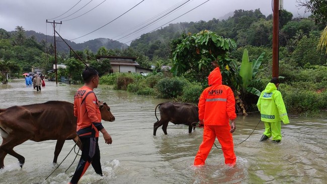 Banjir melanda salah satu titik di Pulau Jemaja, Kepulauan Anambas, Kepri akibat hujan lebat. BPBD evakuasi warga dan hewan ternak.