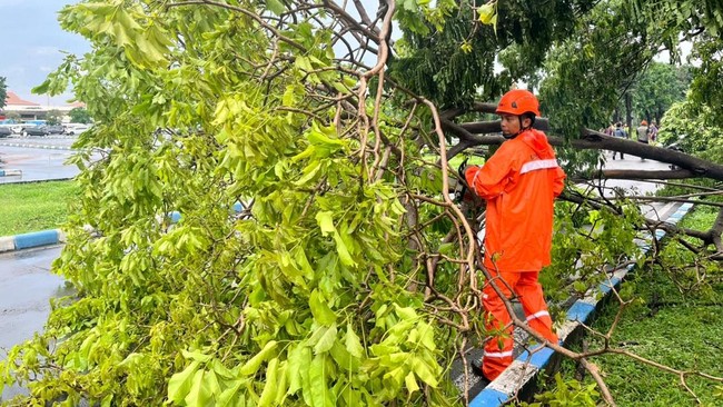 Hujan lebat dan angin kencang menerjang Surabaya, menyebabkan 30 pohon tumbang, satu papan reklame roboh, dan dua tiang listrik patah.