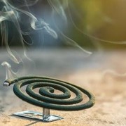 5 Dampak Buruk Penggunaan Obat Nyamuk Bakar yang Perlu Diwaspadai