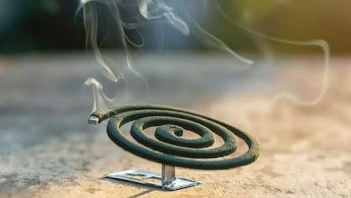 5 Dampak Buruk Penggunaan Obat Nyamuk Bakar yang Perlu Diwaspadai