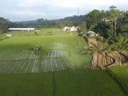 Desa Wisata Semen Blitar, Wisata Alam dan Budaya di Lereng Gunung