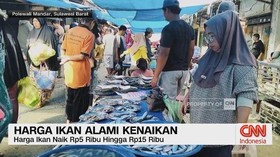 VIDEO: Harga Ikan Alami Kenaikan