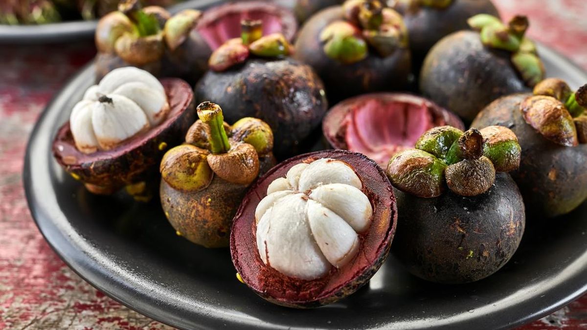 Studi Dosen USU Temukan Potensi Kulit Manggis untuk Penyakit Ginjal