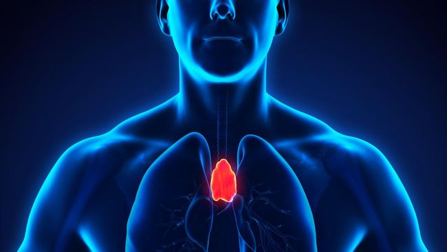 Kanker timus merupakan jenis kanker langka di kelenjar timus, organ kecil yang terletak di belakang tulang dada dan tepat di atas jantung.