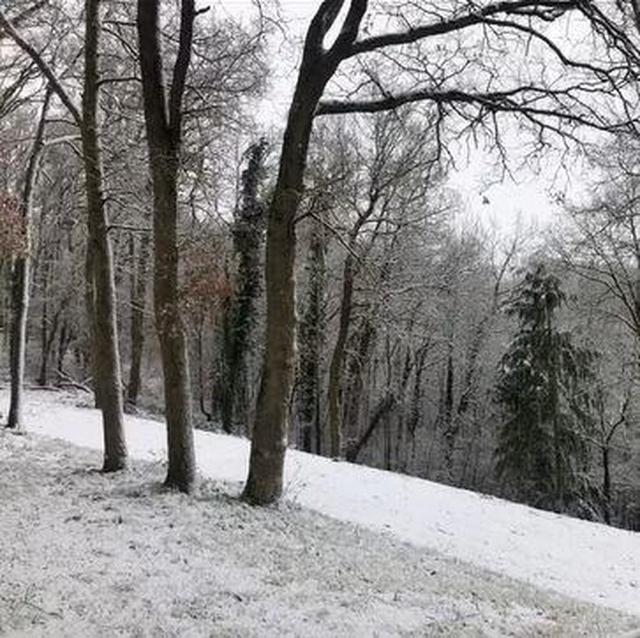 <p>Anggun diketahui sudah cukup lama memiliki hunian di tengah hutan ini. Ia pernah membagikan suasana di sekitar rumah saat musim gugur, di mana banyak daun berjatuhan, namun suasana tetap hijau karena banyak pepohonan. Kali ini, suasana hutan berbeda karena diselimuti oleh salju. Terdapat fakta menarik, Bunda. Area hutan di sekitar rumah Anggun ini ternyata milik sendiri lho. (Foto: Instagram @anggun_cipta)</p>