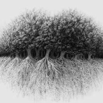 Tes Kepribadian Ilusi Optik: Gambar Pertama yang Dilihat Ungkap Cara Kamu Jalani Hidup