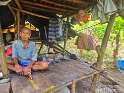 Uloh dan Gubuk Reyot di Hutan, Hidup Sunyi Usai Longsor Sukabumi