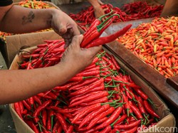 Pasokan Belum Stabil Picu Harga Cabai di Palembang Masih Tinggi