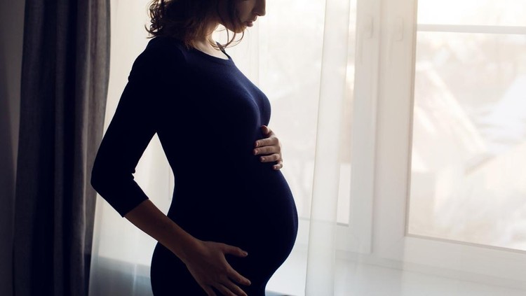 Ilustrasi Ibu Hamil