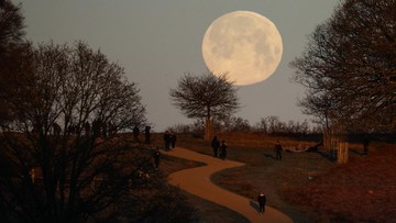 Daftar Fenomena Langit November 2026, Ada Hujan Meteor dan Supermoon