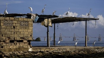 NYALANG: Keindahan Terbalut Tragedi