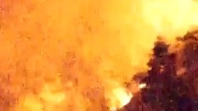 Kebakaran Hutan di Yamanashi Jepang, Pemerintah Evakuasi Warga