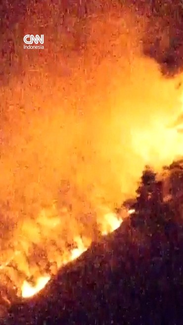 Kebakaran Hutan di Yamanashi Jepang, Pemerintah Evakuasi Warga