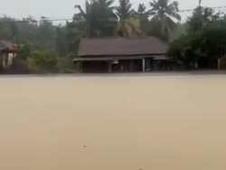 Banjir di OKI Rendam Ribuan Rumah dan Sawah Warga