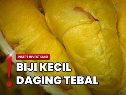 Mencicipi Buah Durian di Jakarta Utara Senilai Jutaan Rupiah