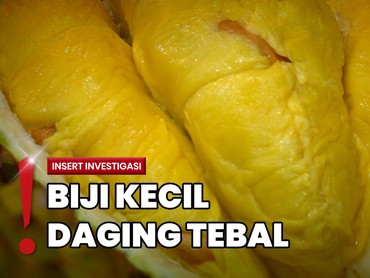 Mencicipi Buah Durian di Jakarta Utara Senilai Jutaan Rupiah