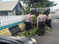 Ranting Pohon Halangi Pengendara di JLNT Antasari, Polda Metro Bantu Rapikan